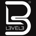 Level 3